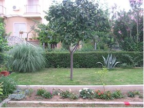 Apartments Dedaj