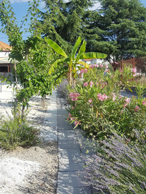 Art Villa Ines
