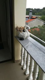 Guest House Krsevan