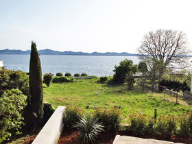 Janamari