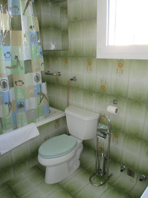 Lemon Tree Apartments