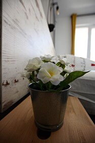 Nora Rooms