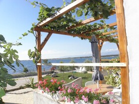 Apartments Ivo