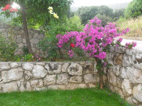 Apartments Njiric