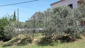 Apartments Smilje & Maslina