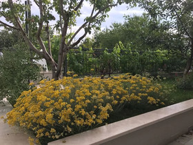 Villa Amare