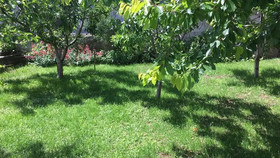Villa Amare