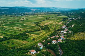 Holiday House Estera