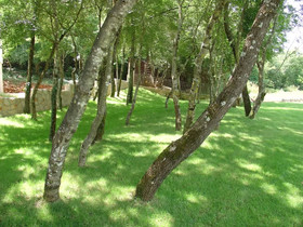 Villa Estera Grubine - Makarska