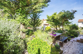 Apartments Davor