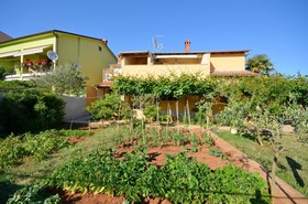 Apartments Nenad