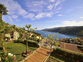 Apartments Paliska