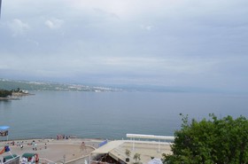 Galeb