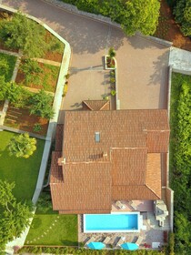 Sole
