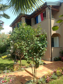 Apartments Nikic