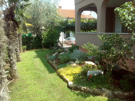 Apartments Nikic