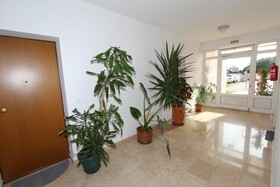 Apartments Lola