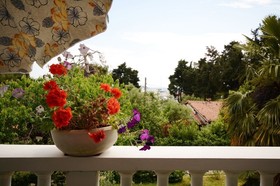 Apartments Dasen
