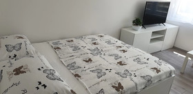 Boutique Hostel Joyce