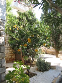 Guesthouse Punta Mira Beachfront