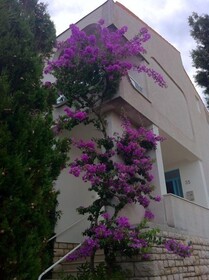 Guesthouse Punta Mira Beachfront