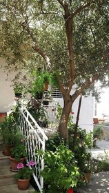 Guesthouse Vilma Adults Only