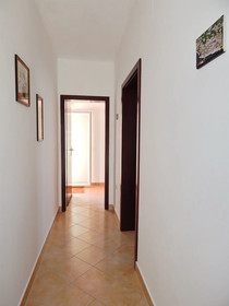 Apartments Rajko