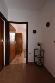 Apartments Rajko