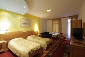 Hotel Millennium