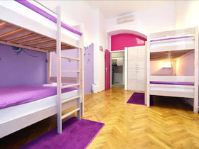 Chameleon Hostel