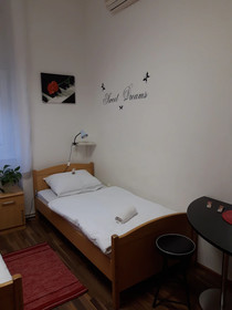 Chameleon Hostel