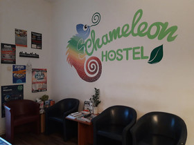Chameleon Hostel