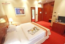Hotel Antunovic