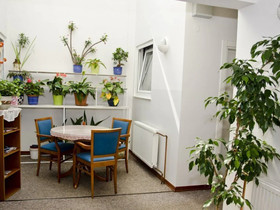 Hotel Fala