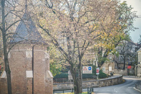 Paon Boutique Apartments