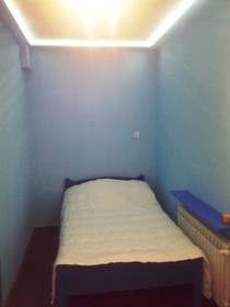 Rooms Cevid