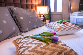 Seven Stars Accommodation