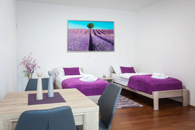 Studio Apartments Radoš