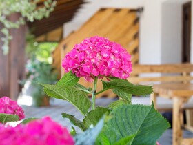 Studio Apartments Plitvice Lacus