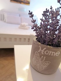 Guest House Macic