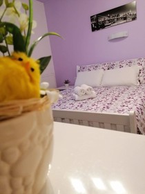 Guest House Macic
