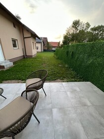 Green Linden