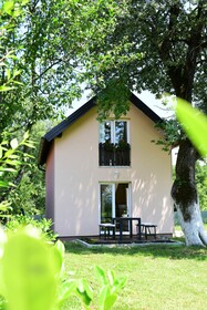 Green Linden