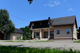 Green Linden