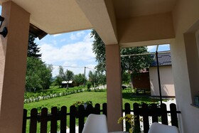 Green Linden