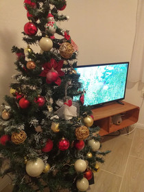 Apartments Sucic