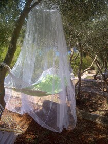 Villa Sonia and Teo Hvar