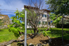 Apartments Mate