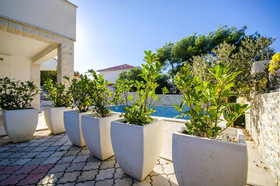 Apartments Punta