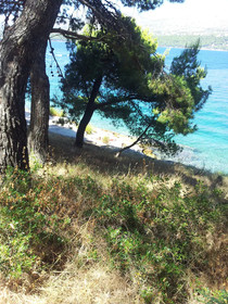 Apartments Punta